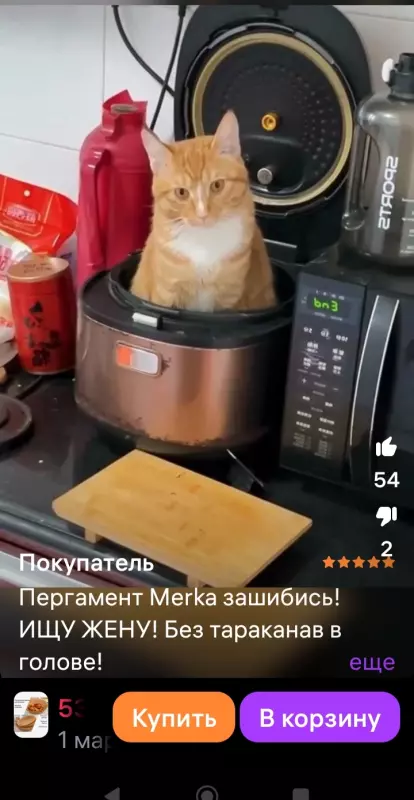 Посмеялся сам - поделись с другом!!!