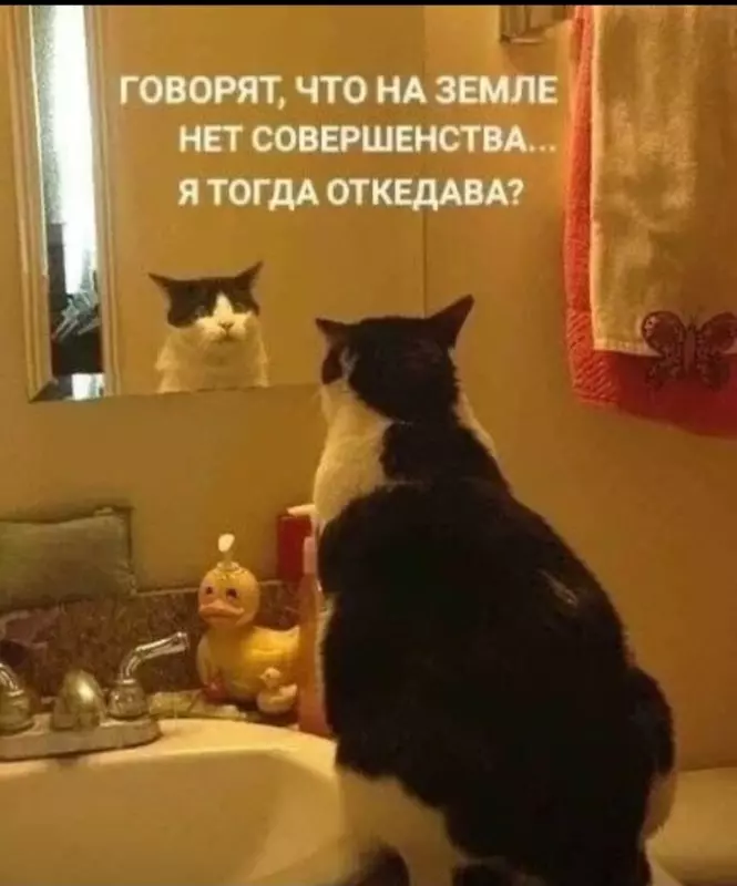 Посмеялся сам - поделись с другом!!!