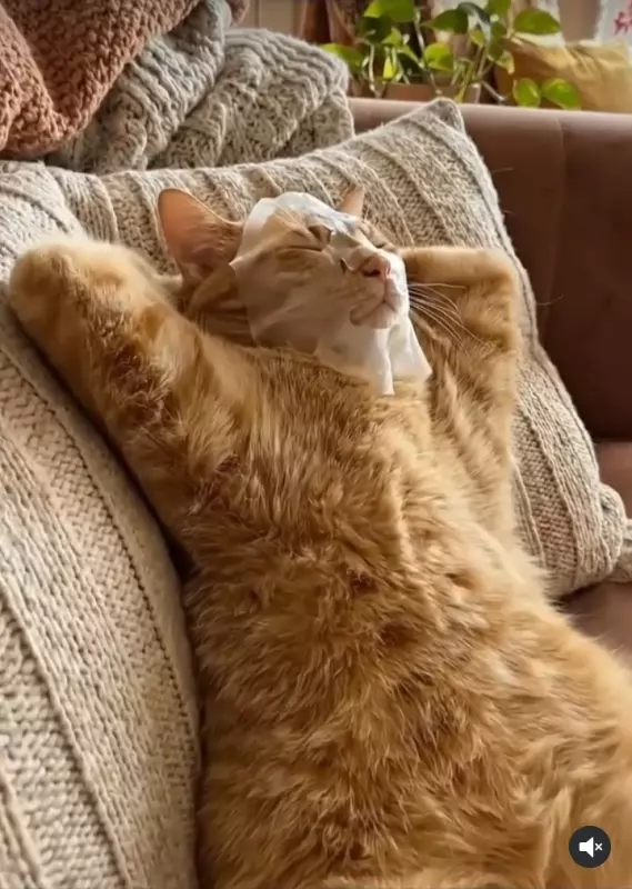 Посмеялся сам - поделись с другом!!!