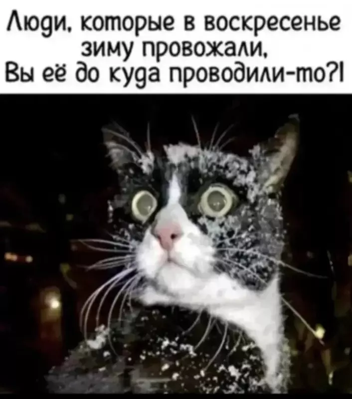 Посмеялся сам - поделись с другом!!!