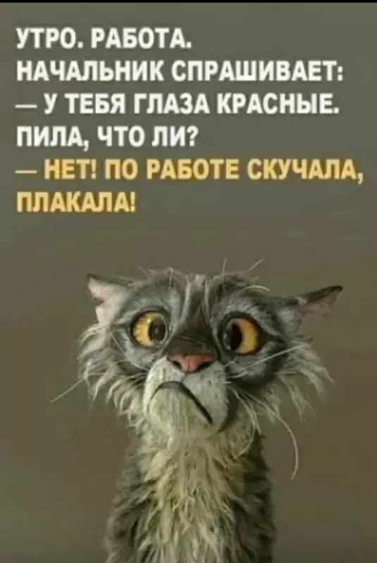 Посмеялся сам - поделись с другом!!!