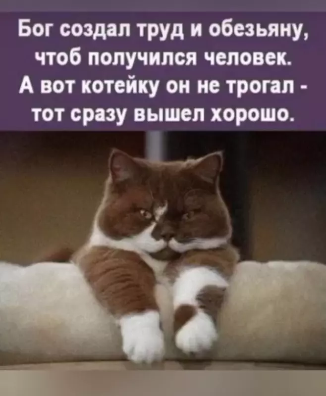 Посмеялся сам - поделись с другом!!!