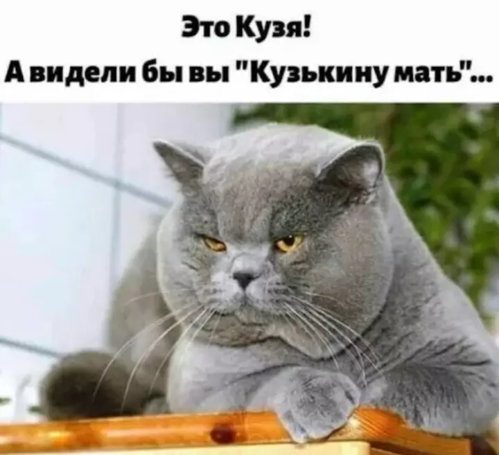 Посмеялся сам - поделись с другом!!!
