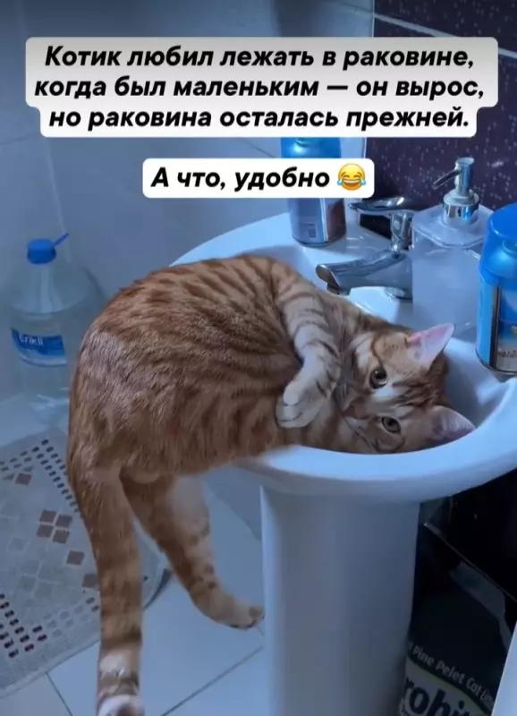 Посмеялся сам - поделись с другом!!!