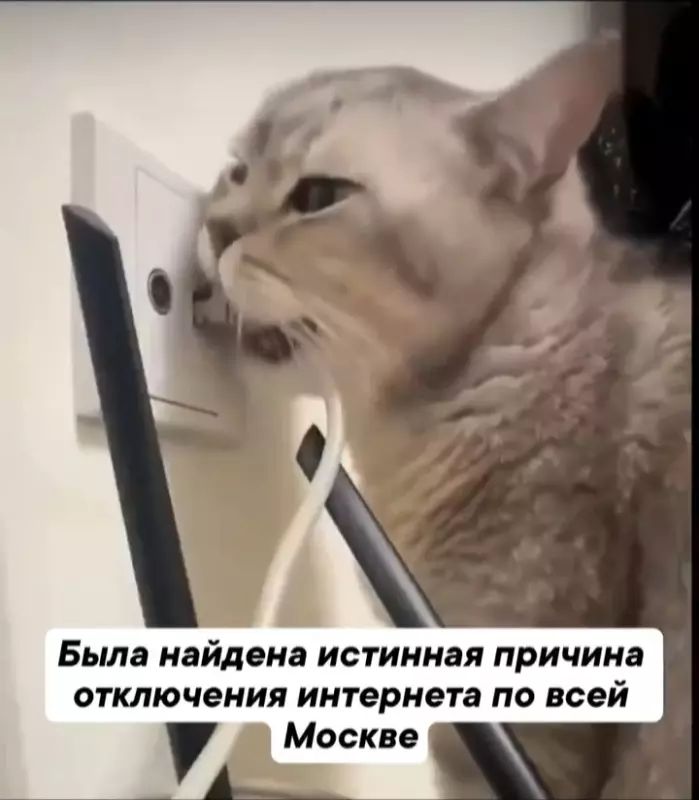 Посмеялся сам - поделись с другом!!!