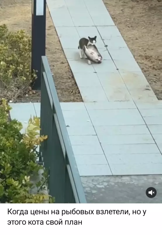 Посмеялся сам - поделись с другом!!!