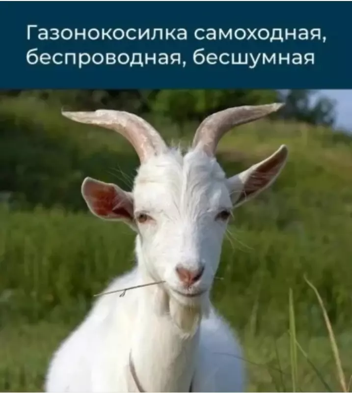 Посмеялся сам - поделись с другом!!!