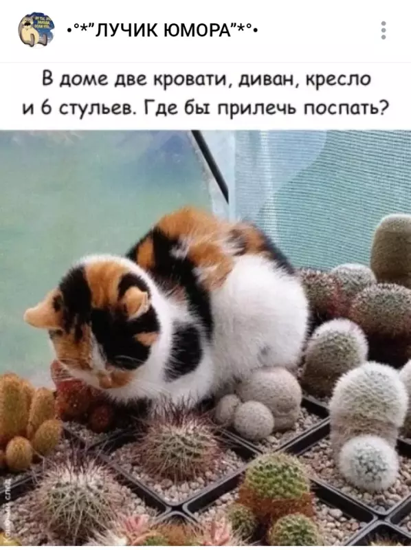 Посмеялся сам - поделись с другом!!!