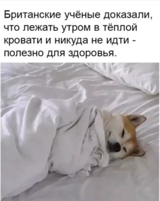 Посмеялся сам - поделись с другом!!!