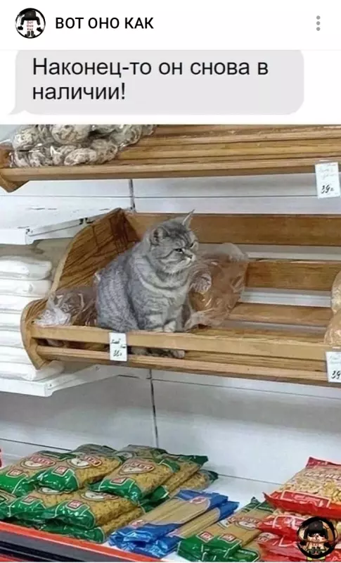 Посмеялся сам - поделись с другом!!!