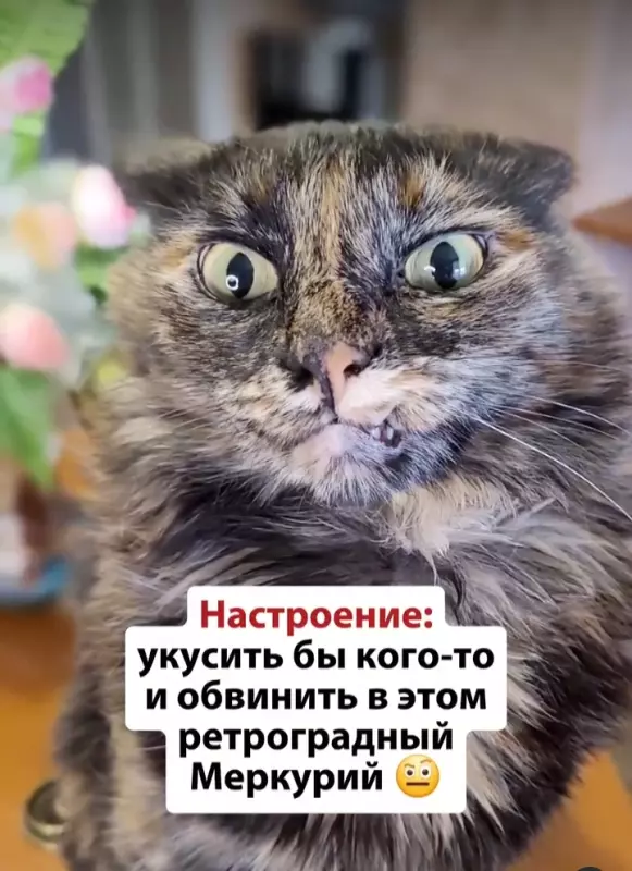 Посмеялся сам - поделись с другом!!!