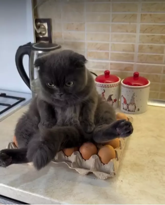 Посмеялся сам - поделись с другом!!!