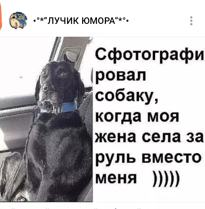 Посмеялся сам - поделись с другом!!!