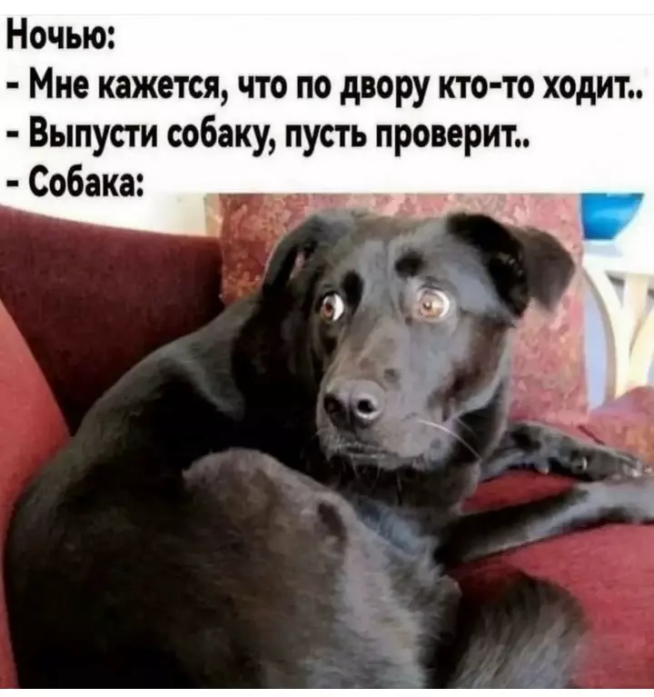 Посмеялся сам - поделись с другом!!!