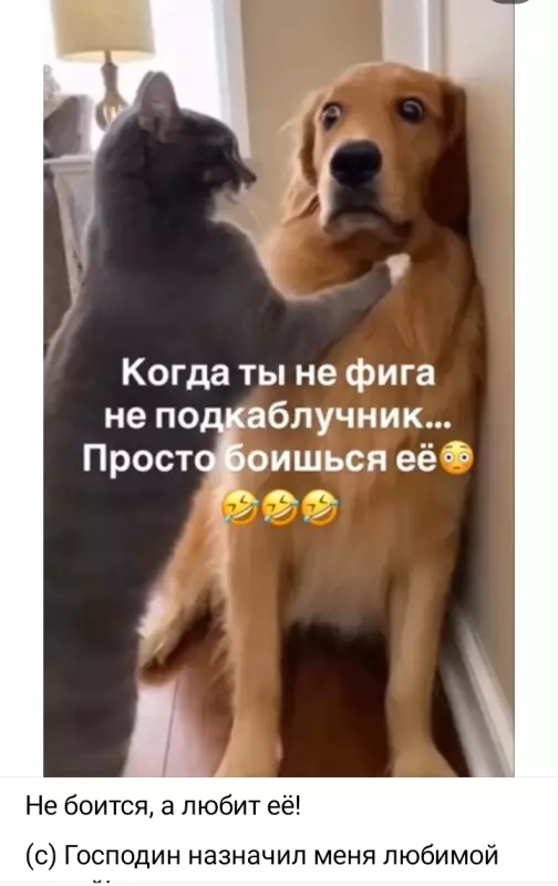 Посмеялся сам - поделись с другом!!!