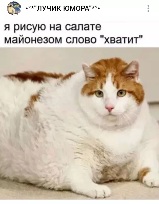 Посмеялся сам - поделись с другом!!!