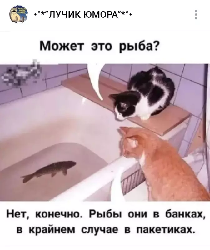 Посмеялся сам - поделись с другом!!!