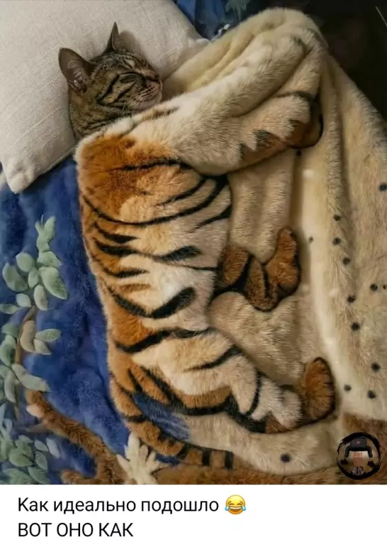 Посмеялся сам - поделись с другом!!!