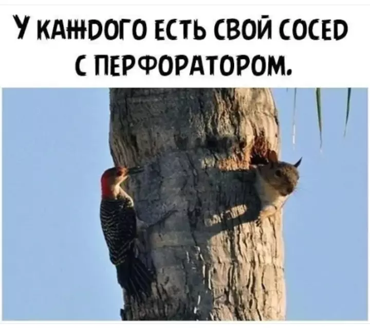 Посмеялся сам - поделись с другом!!!