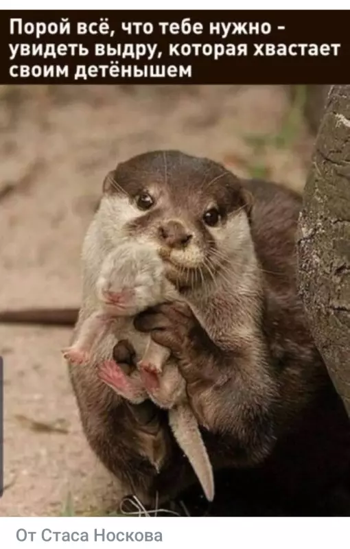 Посмеялся сам - поделись с другом!!!