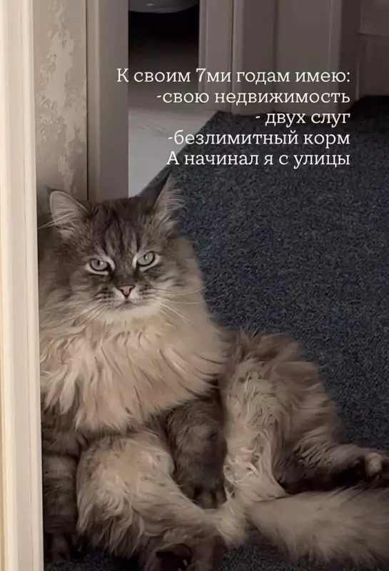 Посмеялся сам - поделись с другом!!!