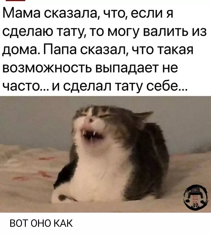 Посмеялся сам - поделись с другом!!!