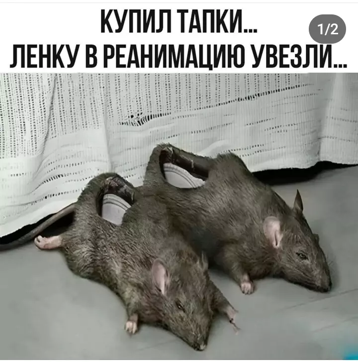 Посмеялся сам - поделись с другом!!!