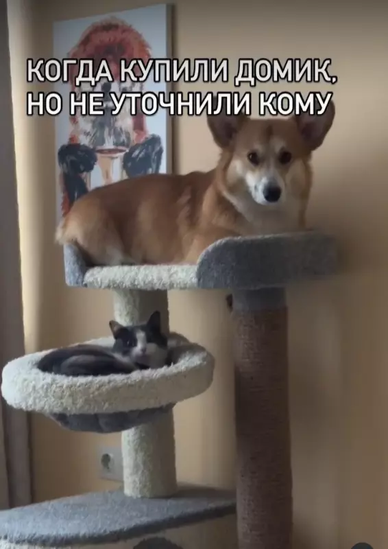 Посмеялся сам - поделись с другом!!!