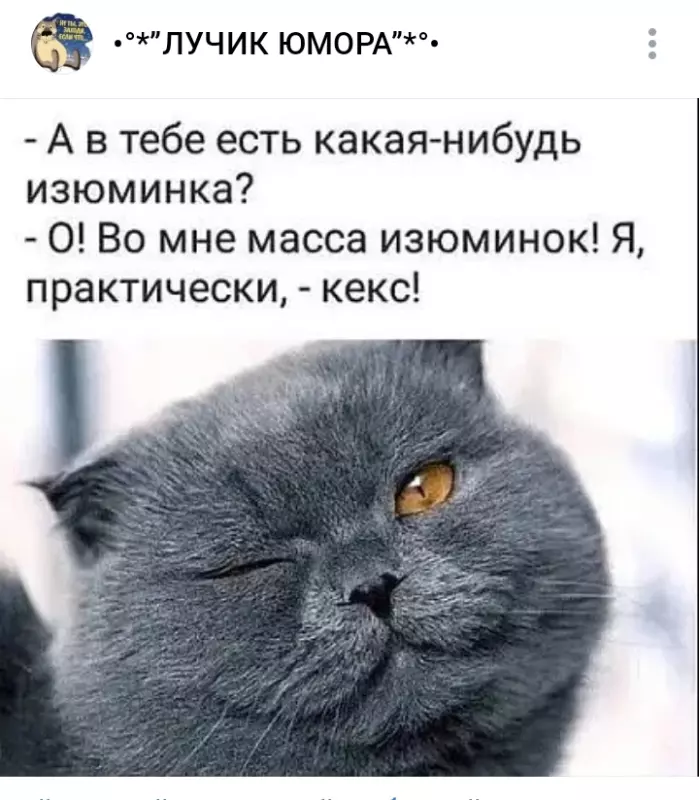 Посмеялся сам - поделись с другом!!!