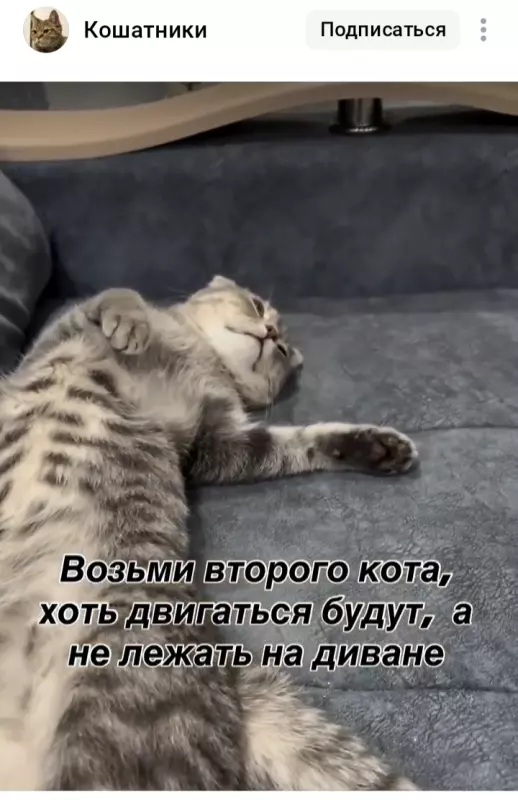 Посмеялся сам - поделись с другом!!!