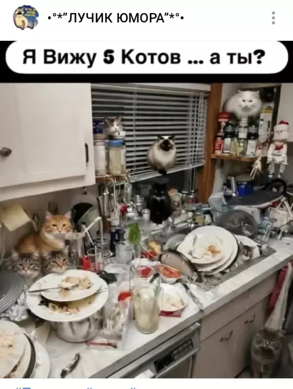 Посмеялся сам - поделись с другом!!!