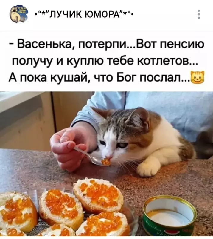 Посмеялся сам - поделись с другом!!!
