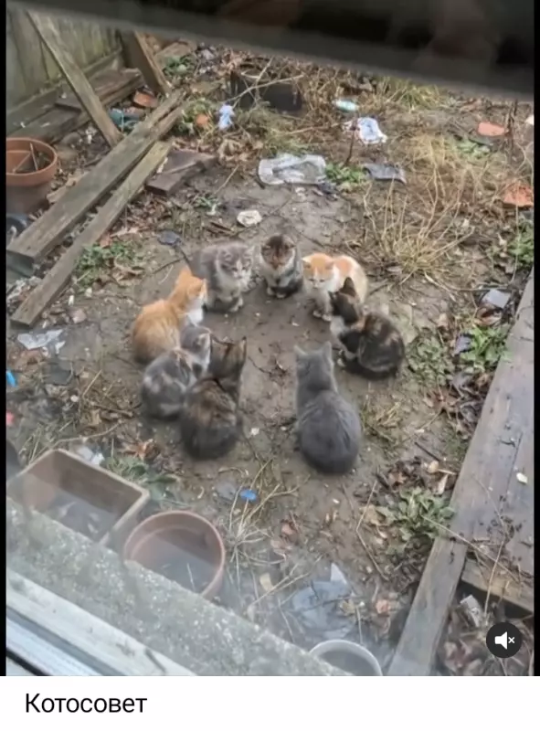 Посмеялся сам - поделись с другом!!!