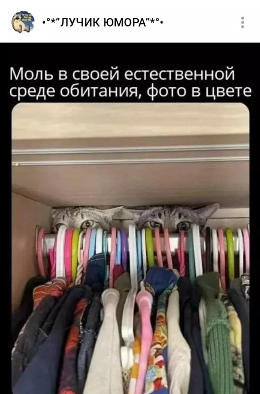 Посмеялся сам - поделись с другом!!!