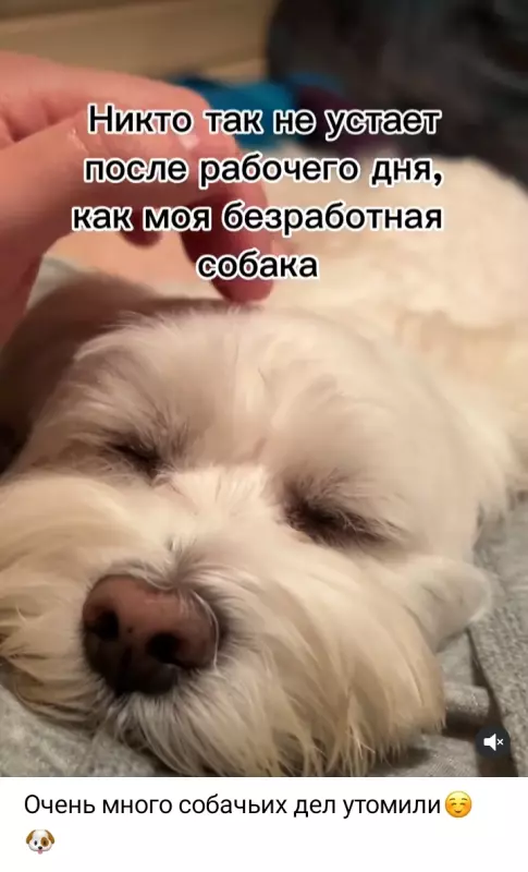 Посмеялся сам - поделись с другом!!!