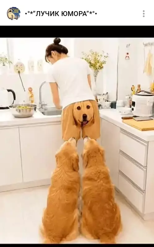 Посмеялся сам - поделись с другом!!!