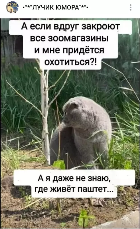 Посмеялся сам - поделись с другом!!!
