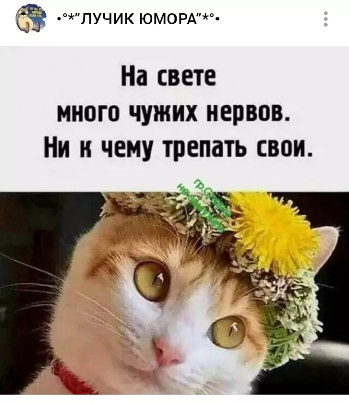 Посмеялся сам - поделись с другом!!!