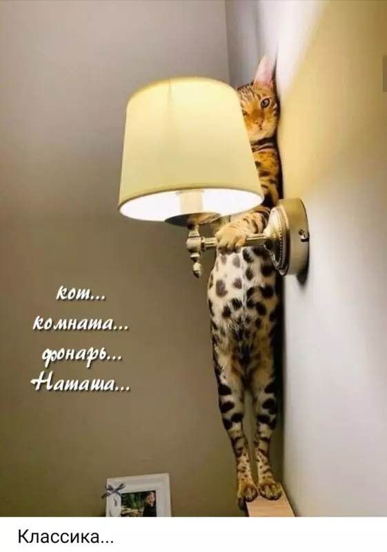 Посмеялся сам - поделись с другом!!!