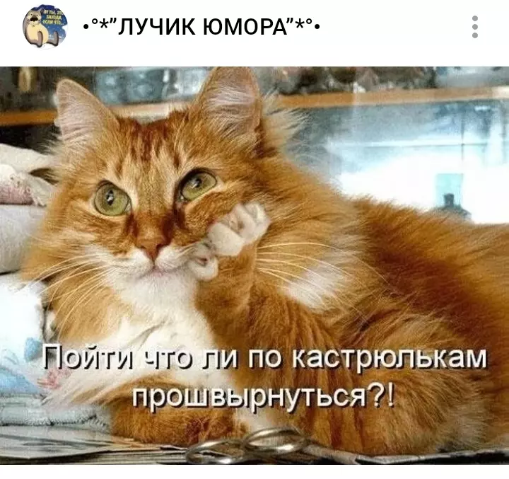 Посмеялся сам - поделись с другом!!!