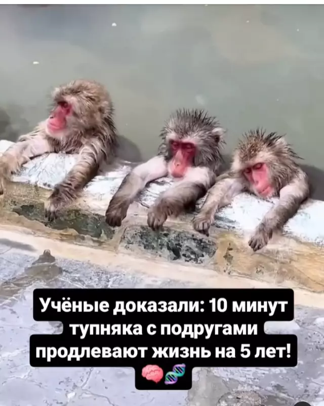 Посмеялся сам - поделись с другом!!!