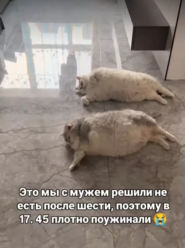Посмеялся сам - поделись с другом!!!