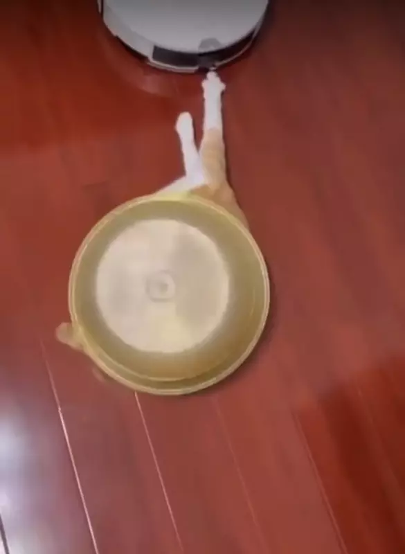 Посмеялся сам - поделись с другом!!!