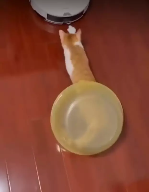 Посмеялся сам - поделись с другом!!!