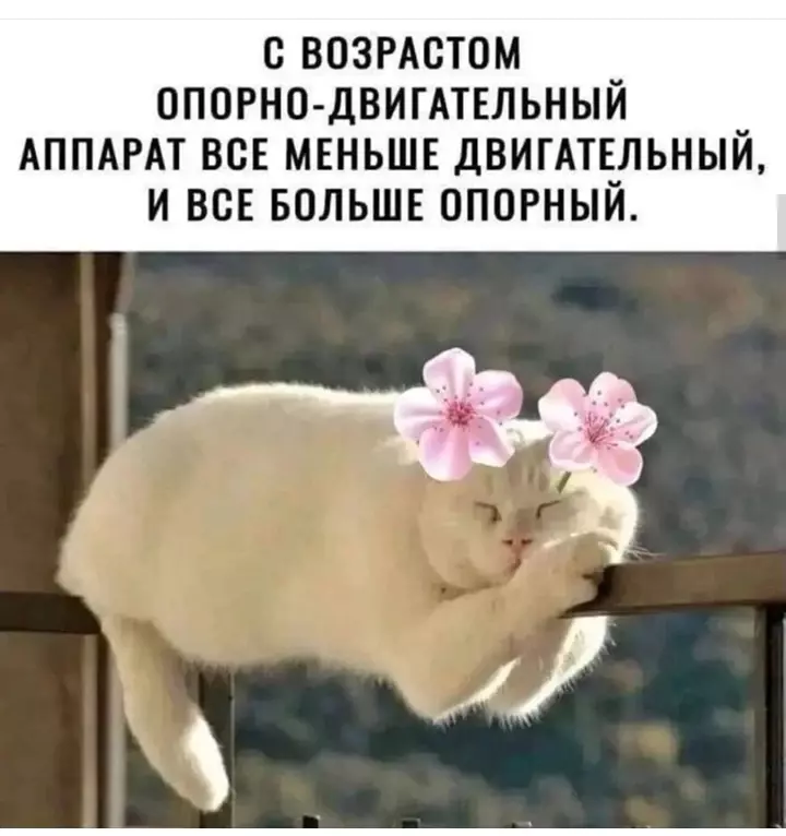 Посмеялся сам - поделись с другом!!!