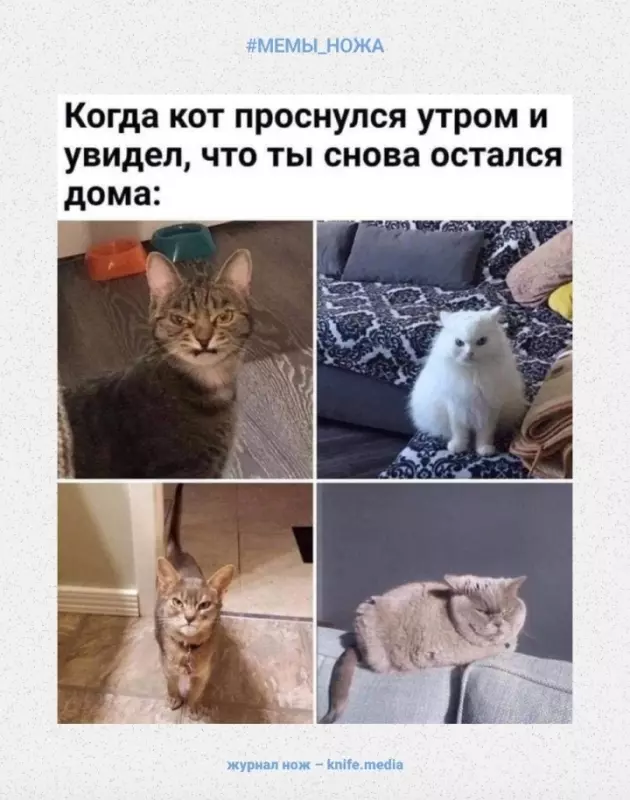 Посмеялся сам - поделись с другом!!!