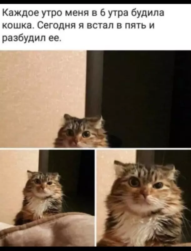 Посмеялся сам - поделись с другом!!!