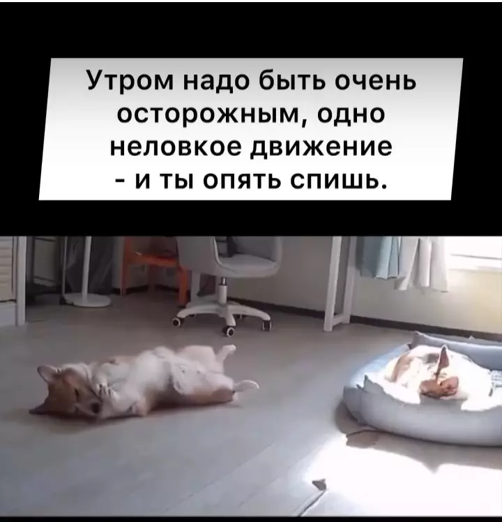 Посмеялся сам - поделись с другом!!!