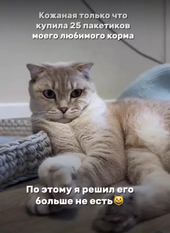 Посмеялся сам - поделись с другом!!!