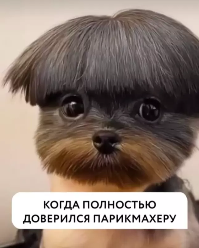 Посмеялся сам - поделись с другом!!!